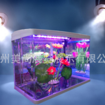 生態(tài)魚缸 小型魚缸